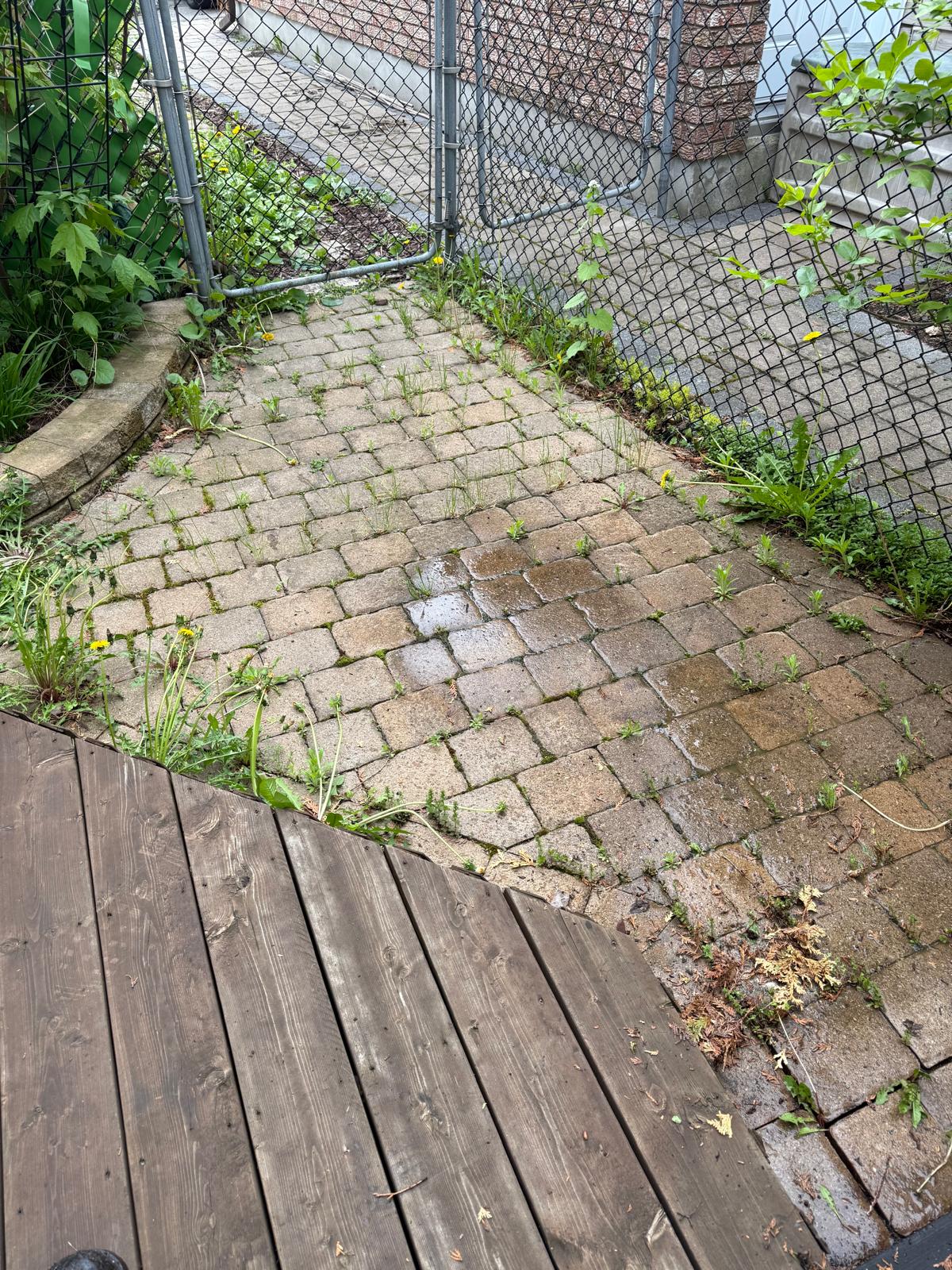 Complete Paver Restoration - Before